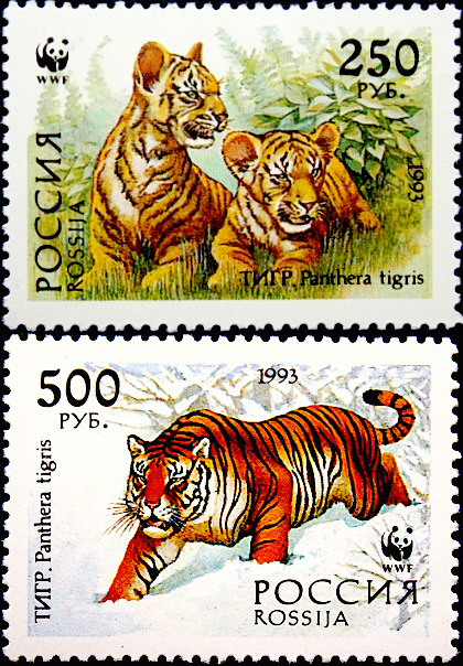  1993  .   (Panthera tigris altaica) ,   .  1,50 .